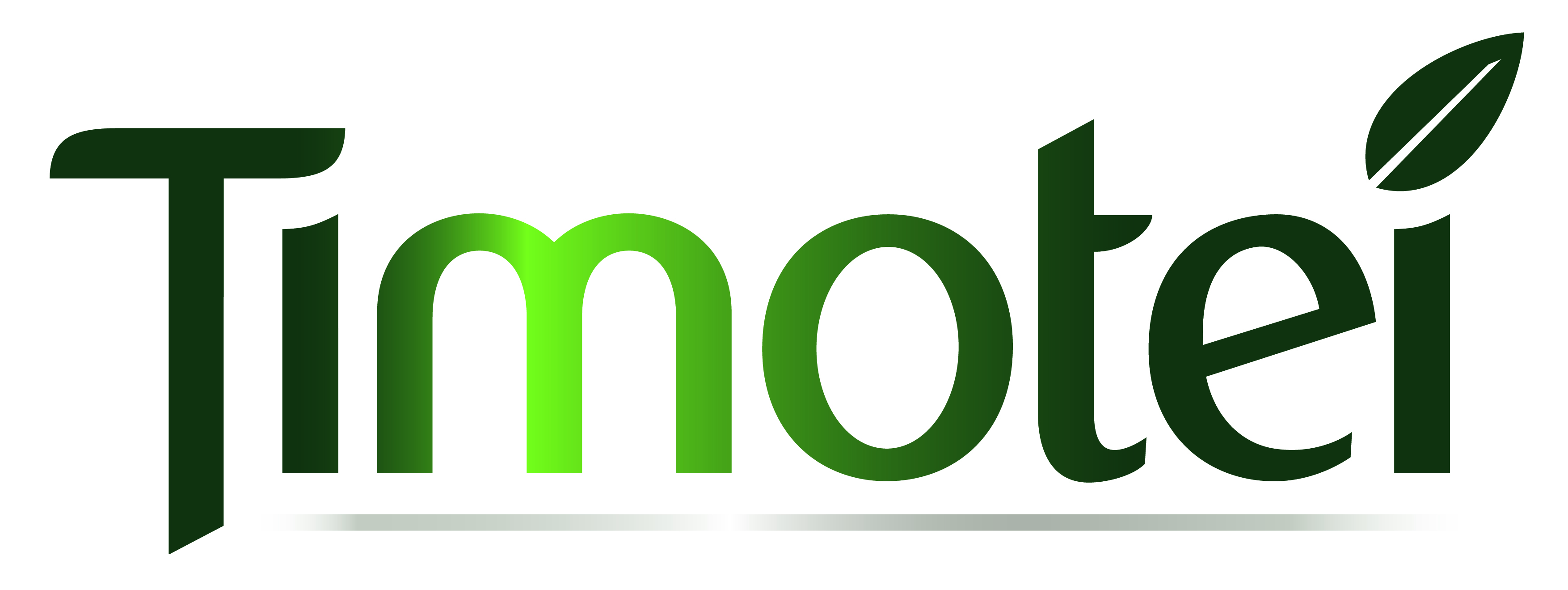 Logo Timotei